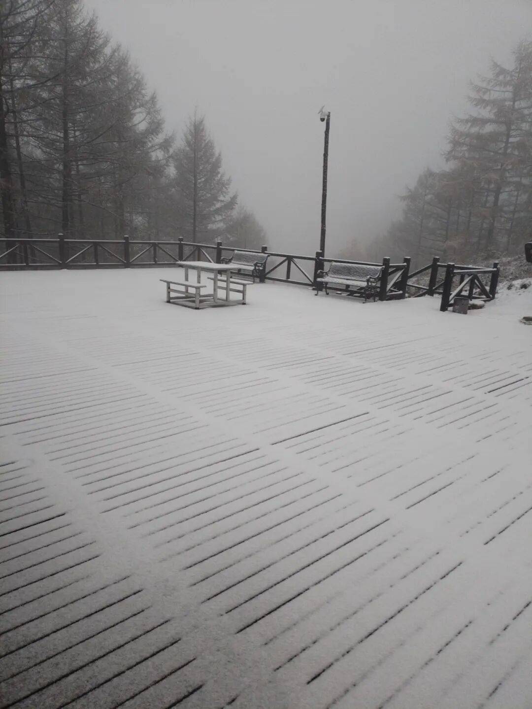 皇冠信用網登1
_石家庄下雪了！河北将迎中到大雪皇冠信用網登1
，未来三天……